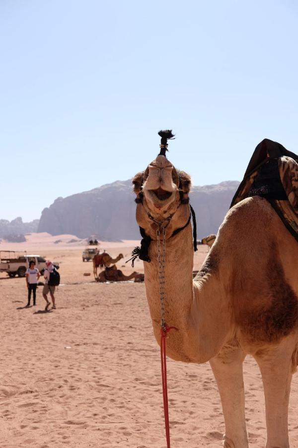 Wadirum Momoo Rum vádi Kültér fotó